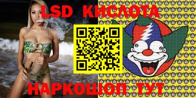 PSILOCYBIN Бугуруслан