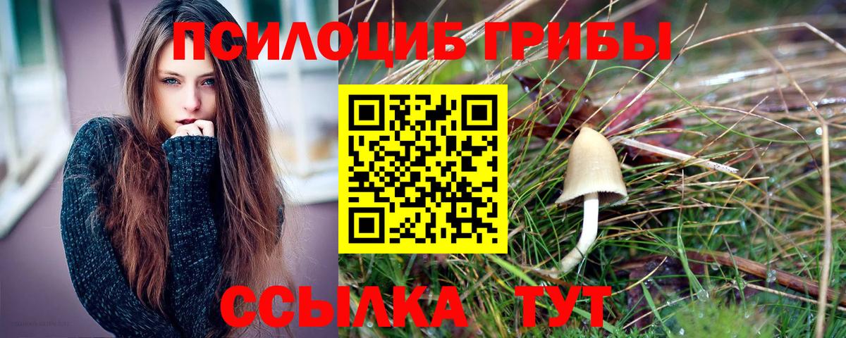 Псилоцибиновые грибы Cubensis  Вход с VPN  Борзя  Псилоцибиновые грибы Cubensis 